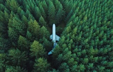 Sachwerte wie Flugzeuge sollten nicht im Wald aufbewahrt werden